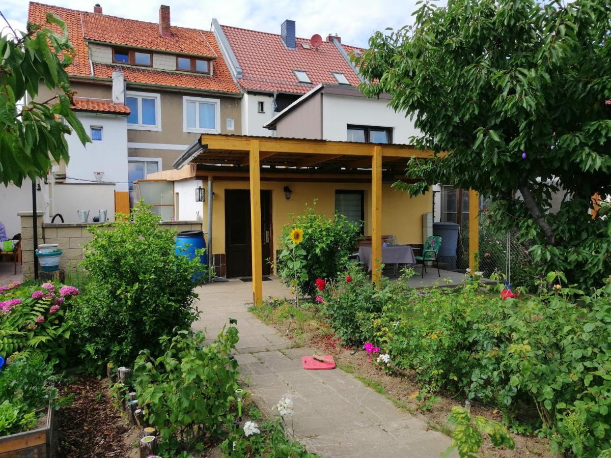 Appartement B1 - Barrierefreie In Wernigerode, Ideal Fuer Senioren Und Behinderte Menschen *